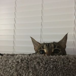 Meet your Posher, Elaina